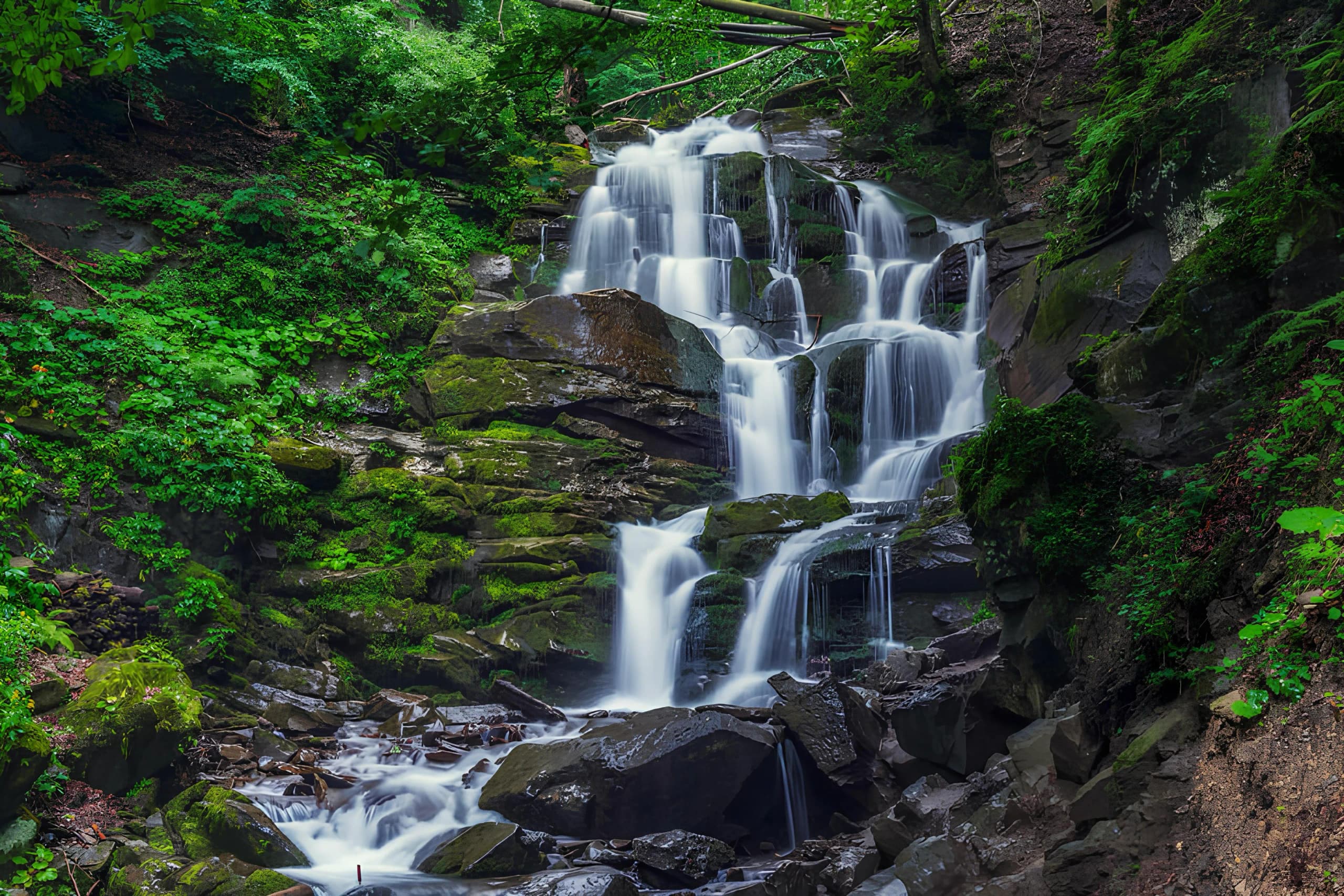 Маршрут №4. Road-trip у серце Карпат: Синевір, Шипіт і Ведмеді - фото 2