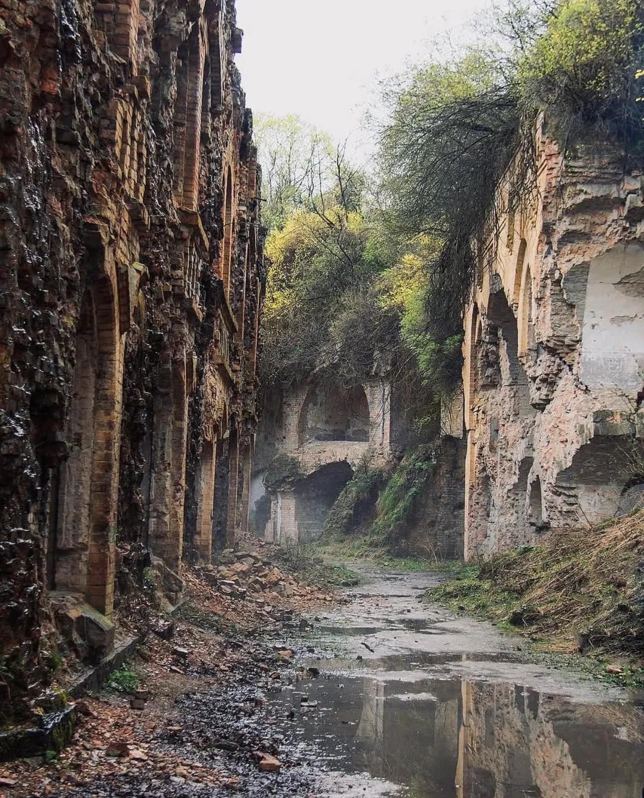 Маршрут №3. Тараканівський форт: постапокаліпсис - фото 3