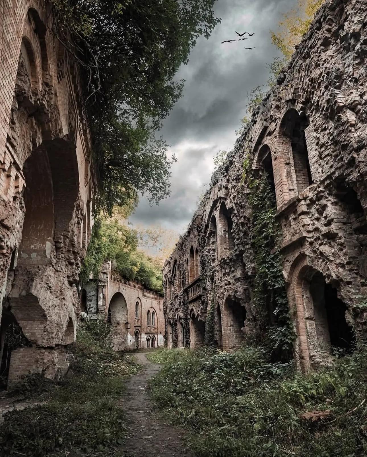 Маршрут №3. Тараканівський форт: постапокаліпсис - фото 4